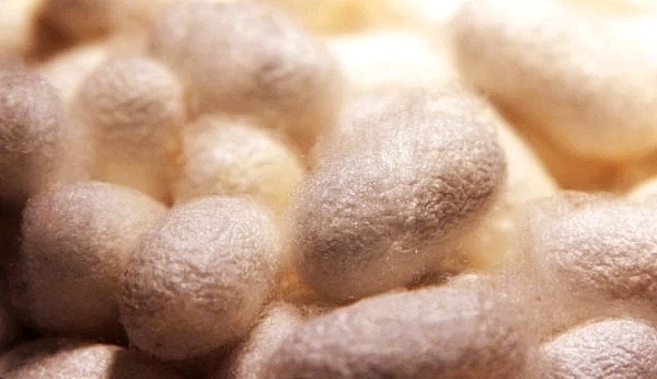 Шёлковое ткачество ― одно из величайших изобретений древнего Китая