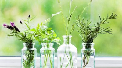 Как похудеть. Диеты против здоровья