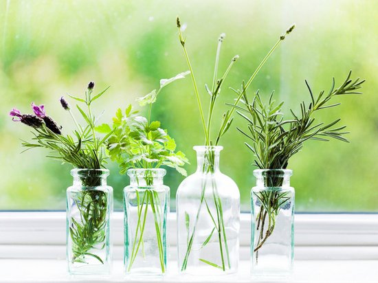 Фото: sovetnika.net | Epoch Times Россия