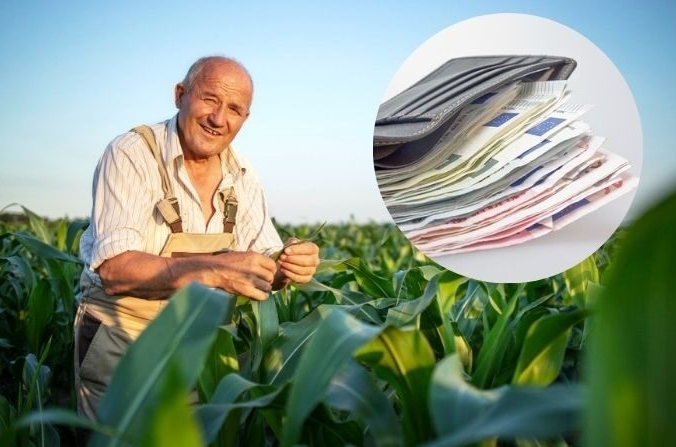 Image d'illustration. (freepik | Pixabay) | Epoch Times Россия