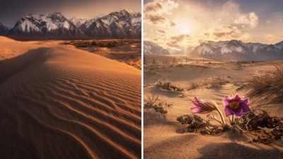 Крохотная сибирская пустыня Пески Чары среди ледников, озёр, лесов