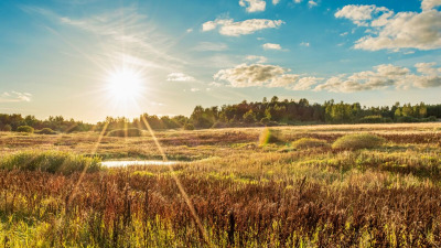 Живи в гармонии с осенью