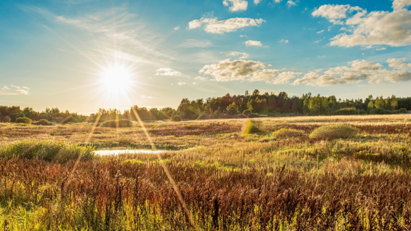 погода, Конец жары - это солнечный термин, когда созревают зерна, и время с нетерпением ждать урожая