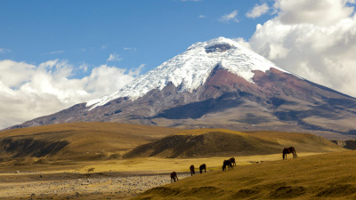 Эквадор: горы, рынки и музыка