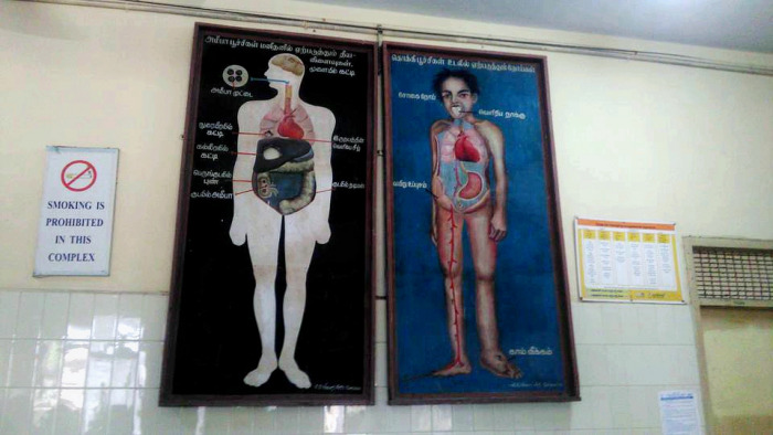 Вакцинация по-индийски