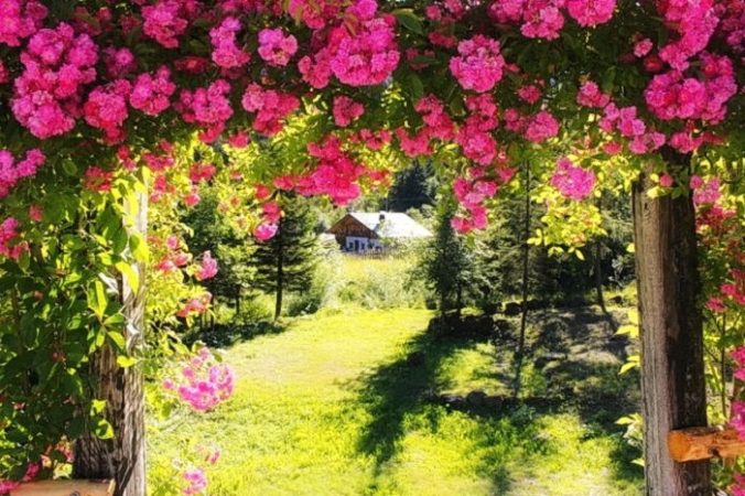 Фото: pexels.com/ru-ru/@pixabay | Epoch Times Россия