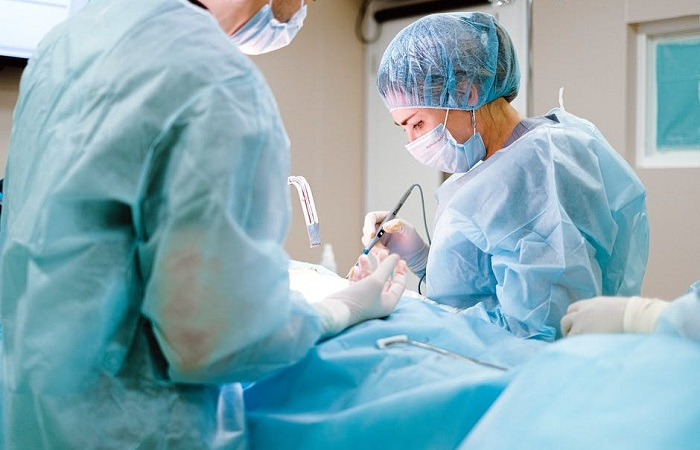 Фото: Anna Shvets/ pexels.com / СС0 | Epoch Times Россия