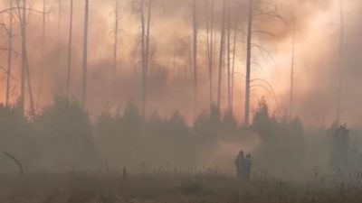 Пожарные в Мордовии смогли вырваться из огненного кольца (видео)