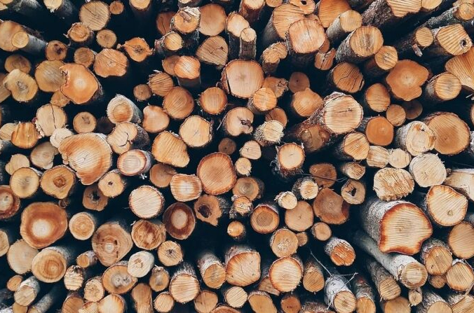 Illustration (Pixabay) | Epoch Times Россия