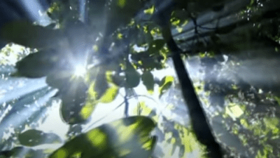 Как язык древних помогал человеку повышать нравственность?