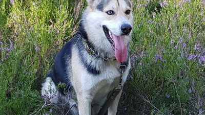 Фото: pexels.com