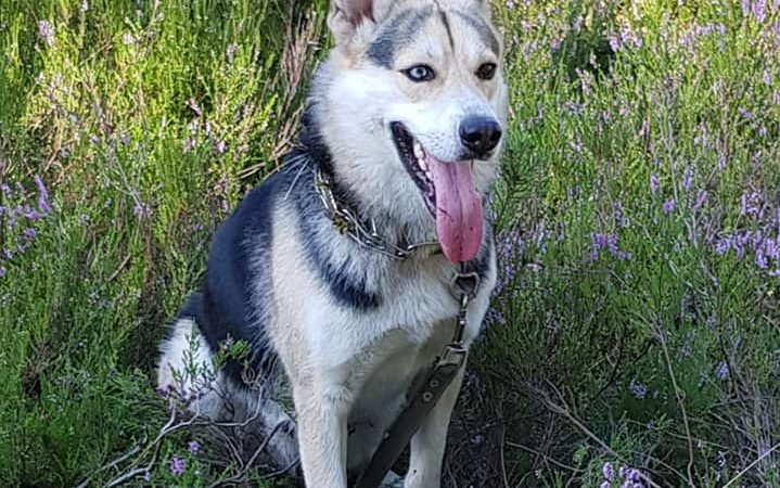 Фото: pexels.com