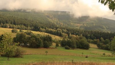 Самолёт Ан-26 мог врезался в сопку в заповеднике Хехцир