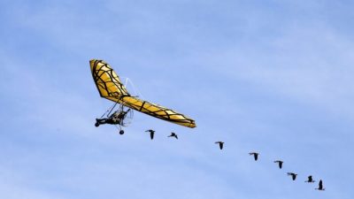 Женщина пролетела с гусями над Альпами