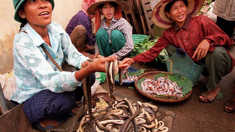 Женщины Камбоджи