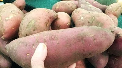 Продукты для женщин: традиционная китайская медицина