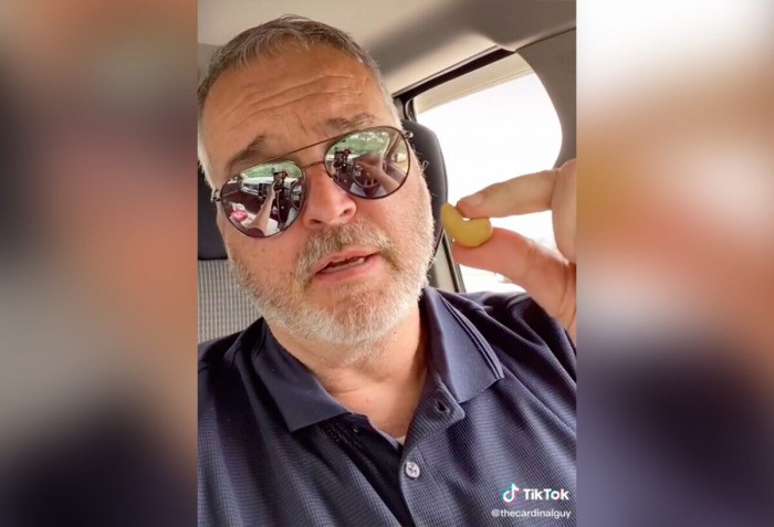 Кардинал Гай, птица