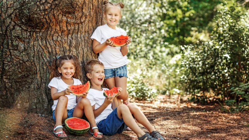 здоровый образ жизни с арбузом