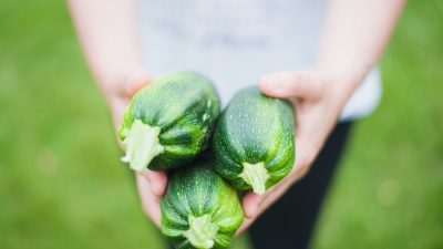 Как заготовить на зиму кабачки, если мало времени