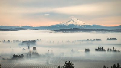 Винный тур по Орегону