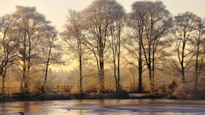 Сохраняйте янскую энергию почек, чтобы противостоять весенним заболеваниям