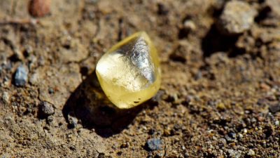 Женщина из Калифорнии нашла в парке жёлтый бриллиант грушевидной огранки весом 4,38 карата