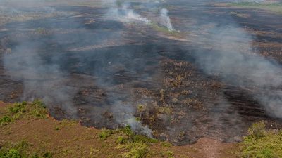 В Екатеринбурге снизилось содержание вредных веществ в воздухе