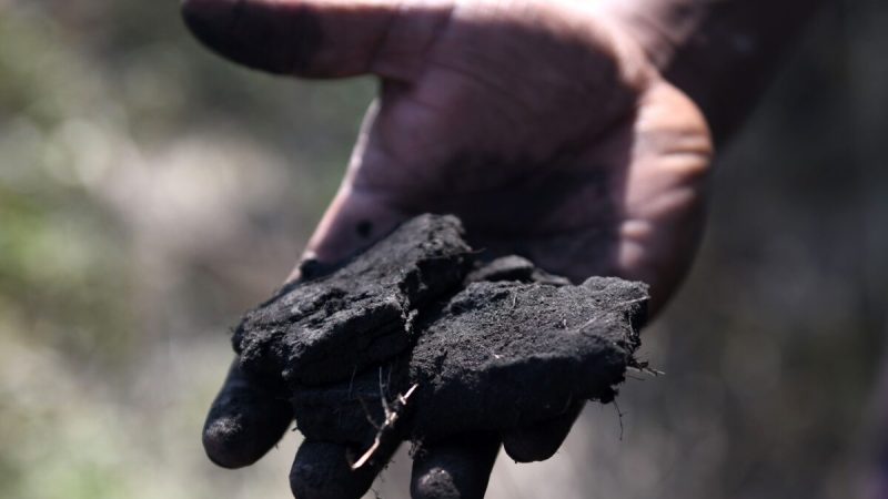Уголь в руке