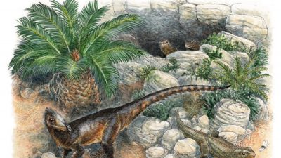 Когда вымерли динозавры?