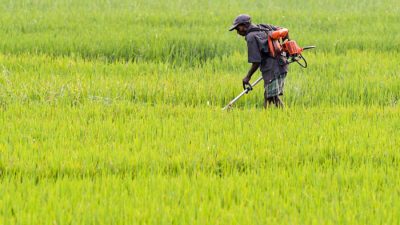 Как быстро найти работу?