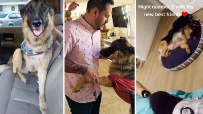 С появлением нового друга в жизнь инвалида пришло спокойствие и радость бытия