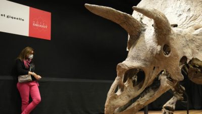 Самый большой в мире трицератопс продан в Париже за $7,7 млн