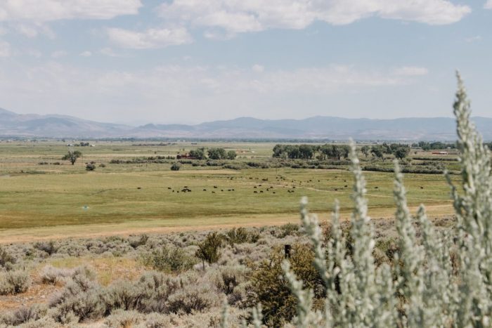 Открытие настоящей Невады Открытие настоящей Невады