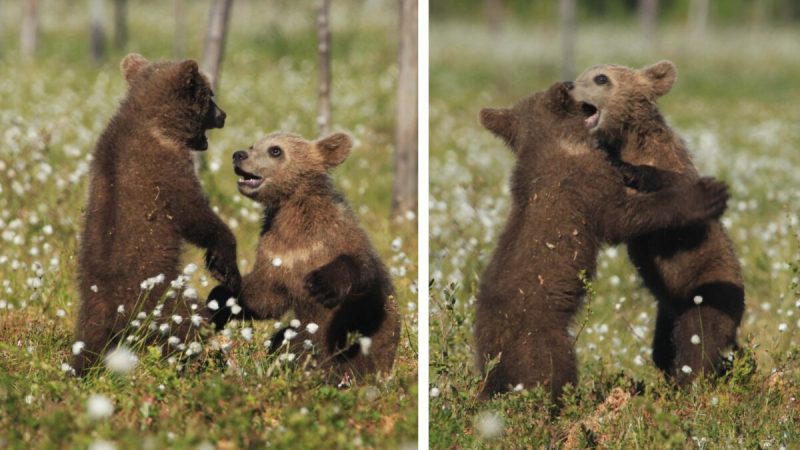 (Предоставлено Caters News)