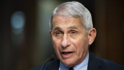 Законодатели США требуют объяснений от Фаучи по поводу жестоких экспериментов на собаках