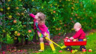 Как отказаться от сахара и не сойти с ума