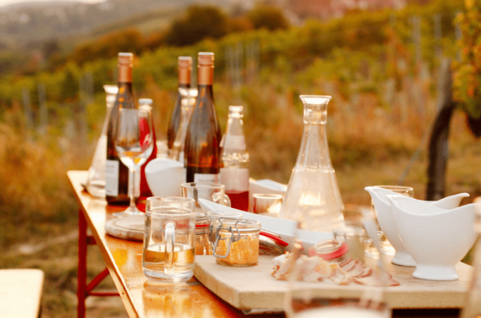 Поход по виноградникам Вены