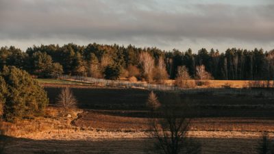 ЕС ужесточил визовый процесс для белорусских чиновников из-за миграционного кризиса