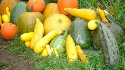 Хранение овощей с собственного огорода