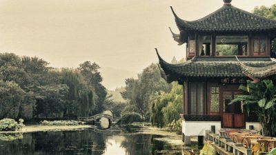 Четыре преимущества зелёного чая