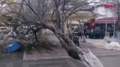 В Стамбуле из-за сильного шторма погибли 5 человек. 30 ноября ураган может достичь Юга России