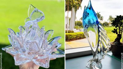 Художник-стеклодув превращает расплавленное стекло в цветы лотоса, колибри и многое другое