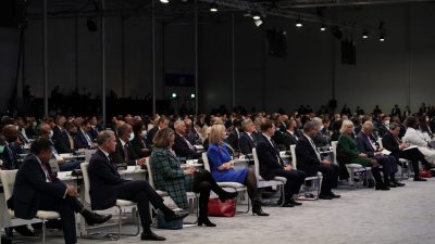 Можно ли верить заявлениям Китая о помощи в спасении лесов?