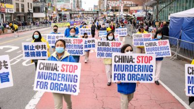 Сериал «Игра в кальмара» привлёк внимание к проблеме извлечения органов у живых людей в Китае