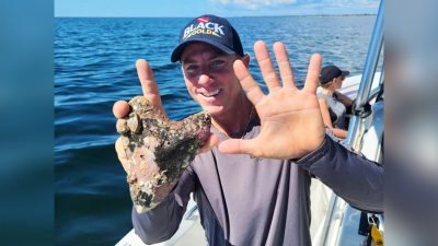 Дайвер обнаружил зуб мегалодона возрастом более 20 млн лет