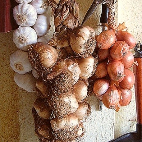 Хранение овощей. На кухне можно подвешенными можно хранить лук, чеснок