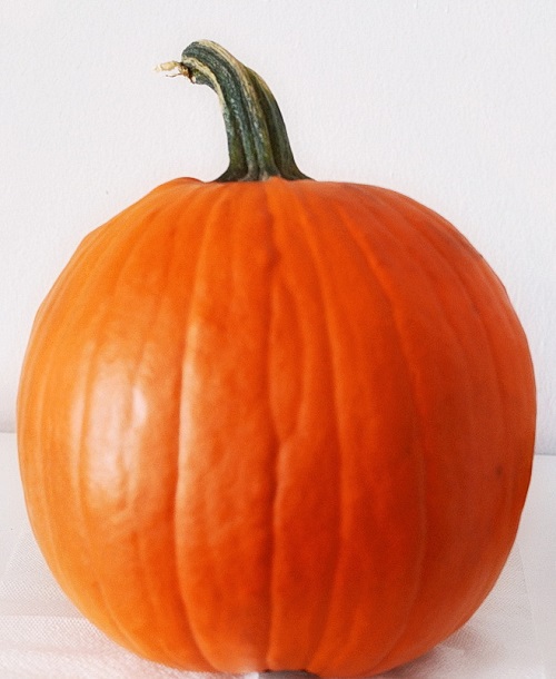 Хранение овощей. Как сохранить тыкву