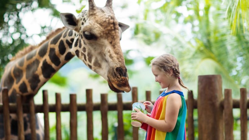 Домашнее обучение предоставляет свободу действий, позволяя регулярно включать необычные занятия, такие как выездные экскурсии. (Farm Veld/Shutterstock)
 | Epoch Times Россия