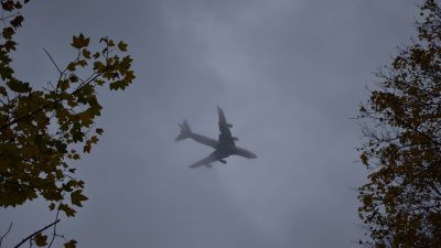 В Москве отменили или задержали 202 авиарейса из-за тумана