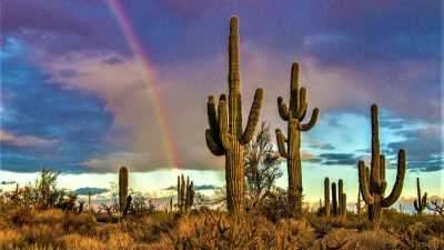 Старый и Новый Запад, а также современный шик — вот что вас ждёт в Скоттсдейле, штат Аризона